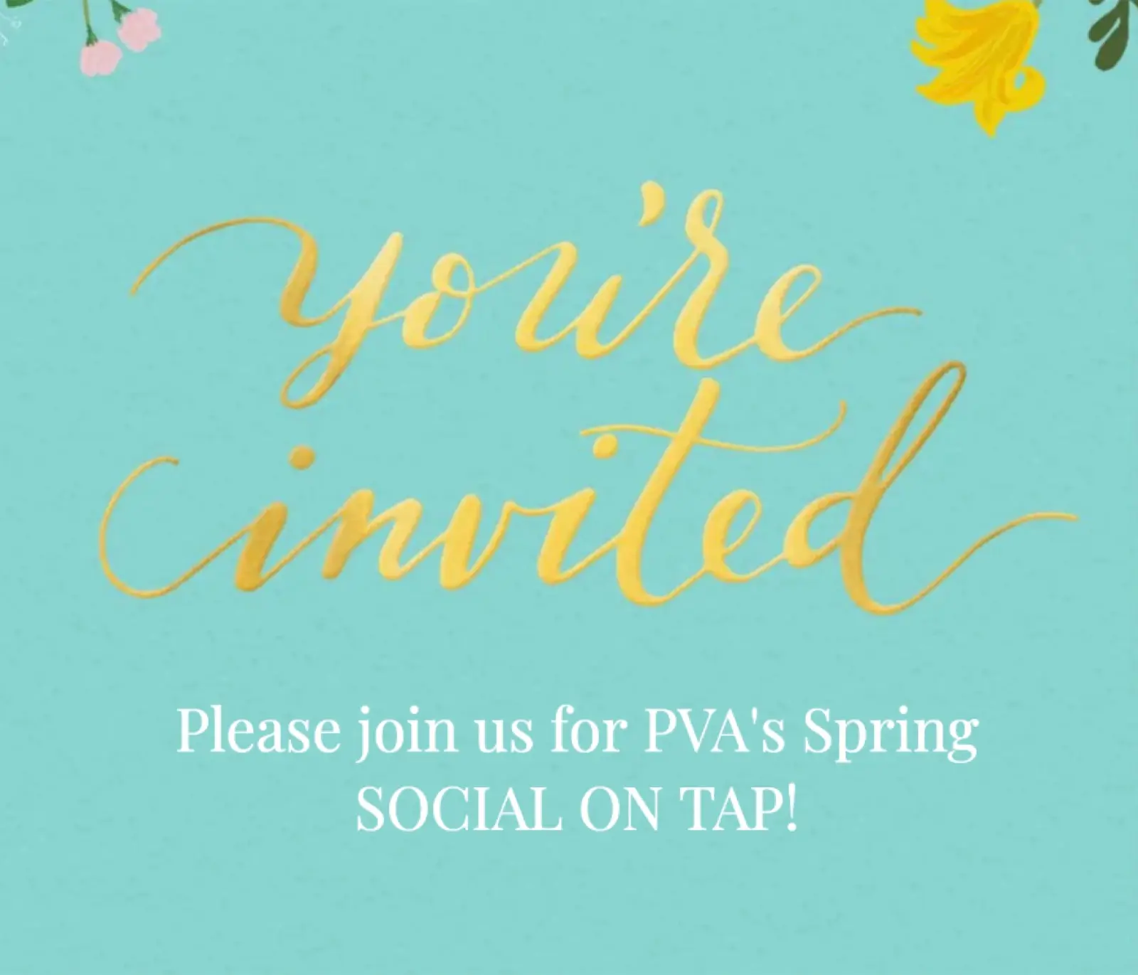 PVA Social on Tap