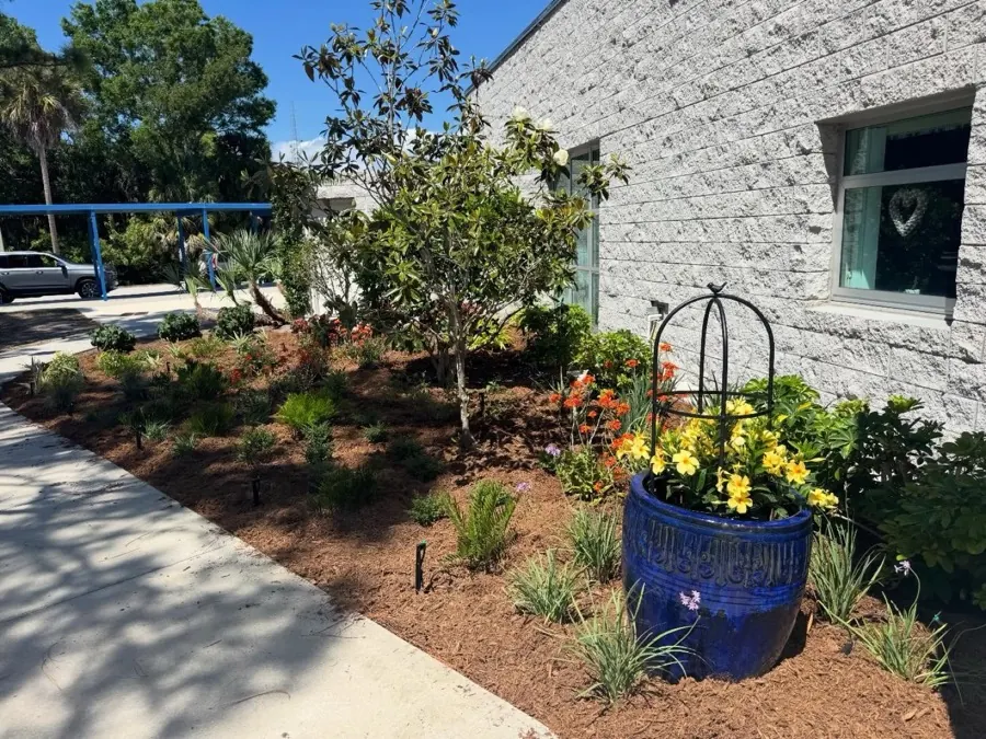 The Pine View School Garden