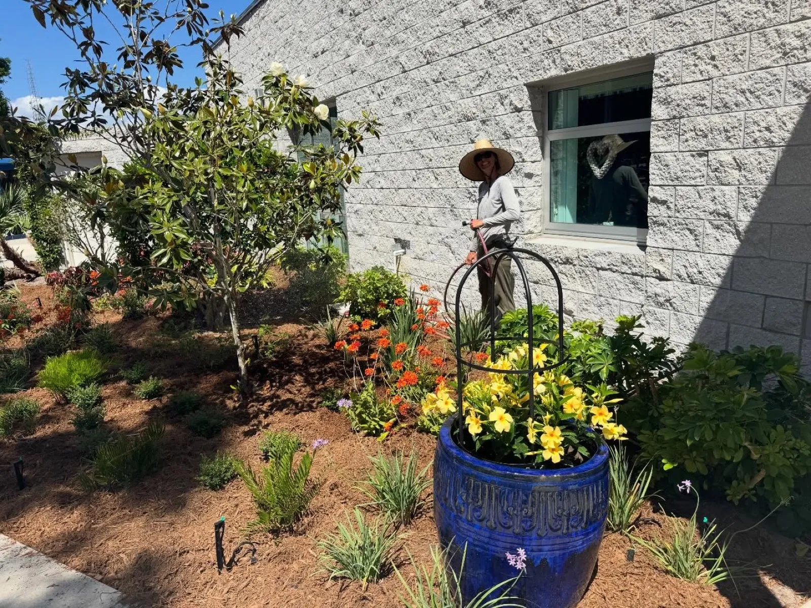Students gardening, harvest day, planting, garden beds