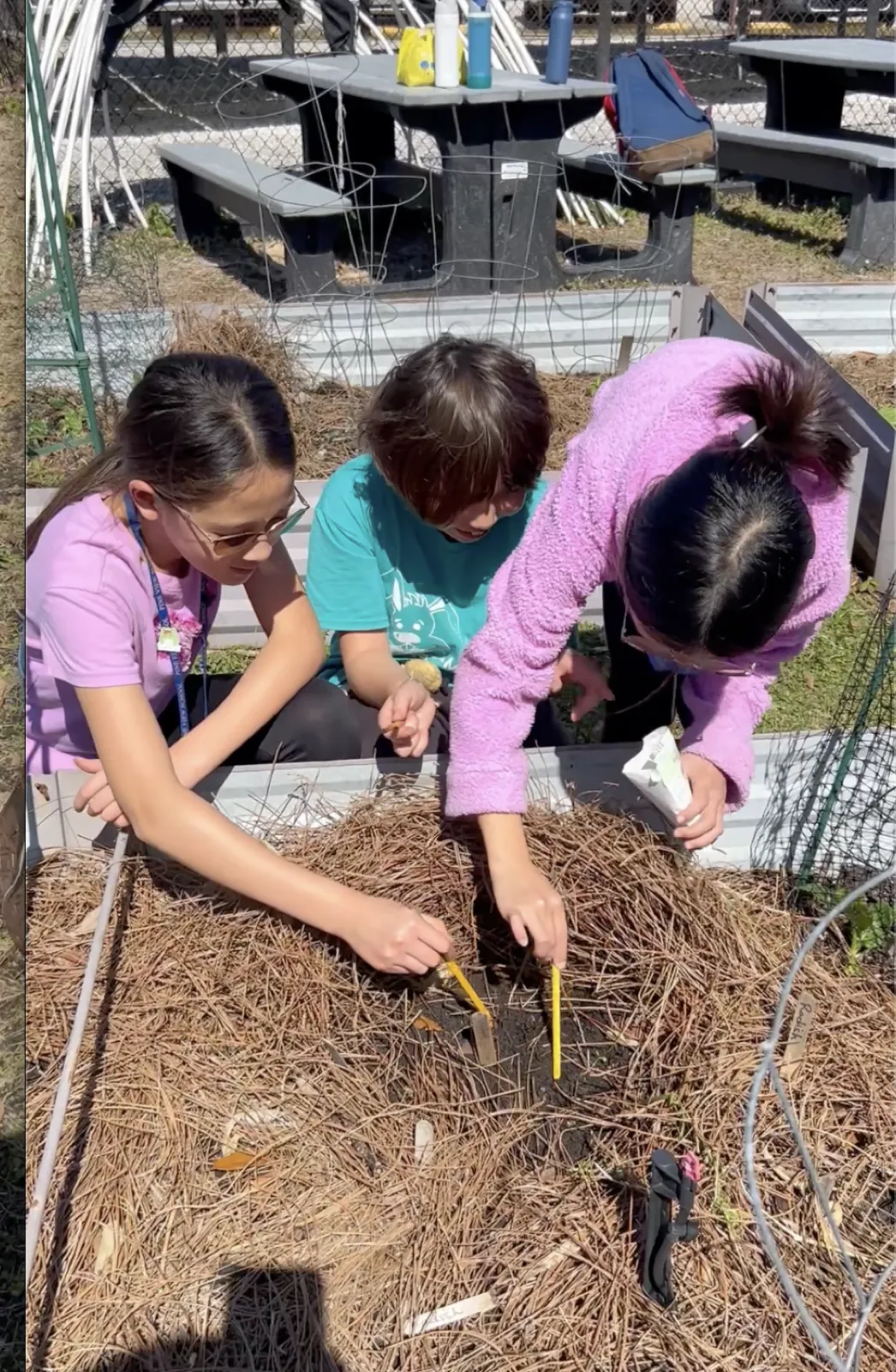 Pine View students planting in the campus garden