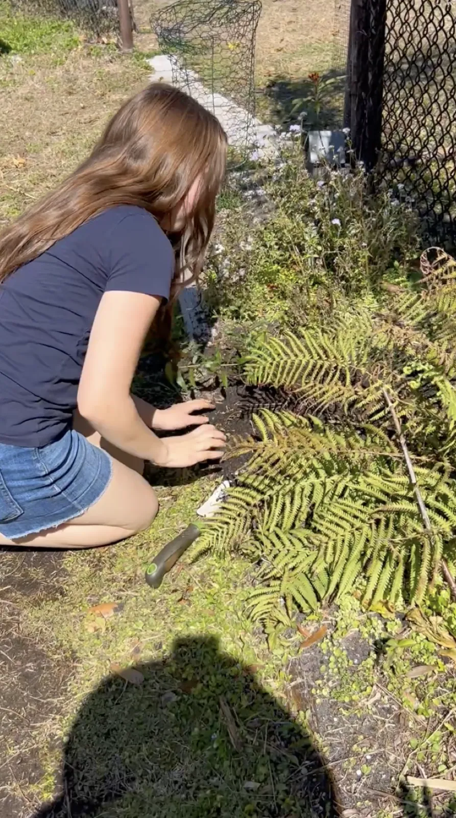 The Pine View Garden